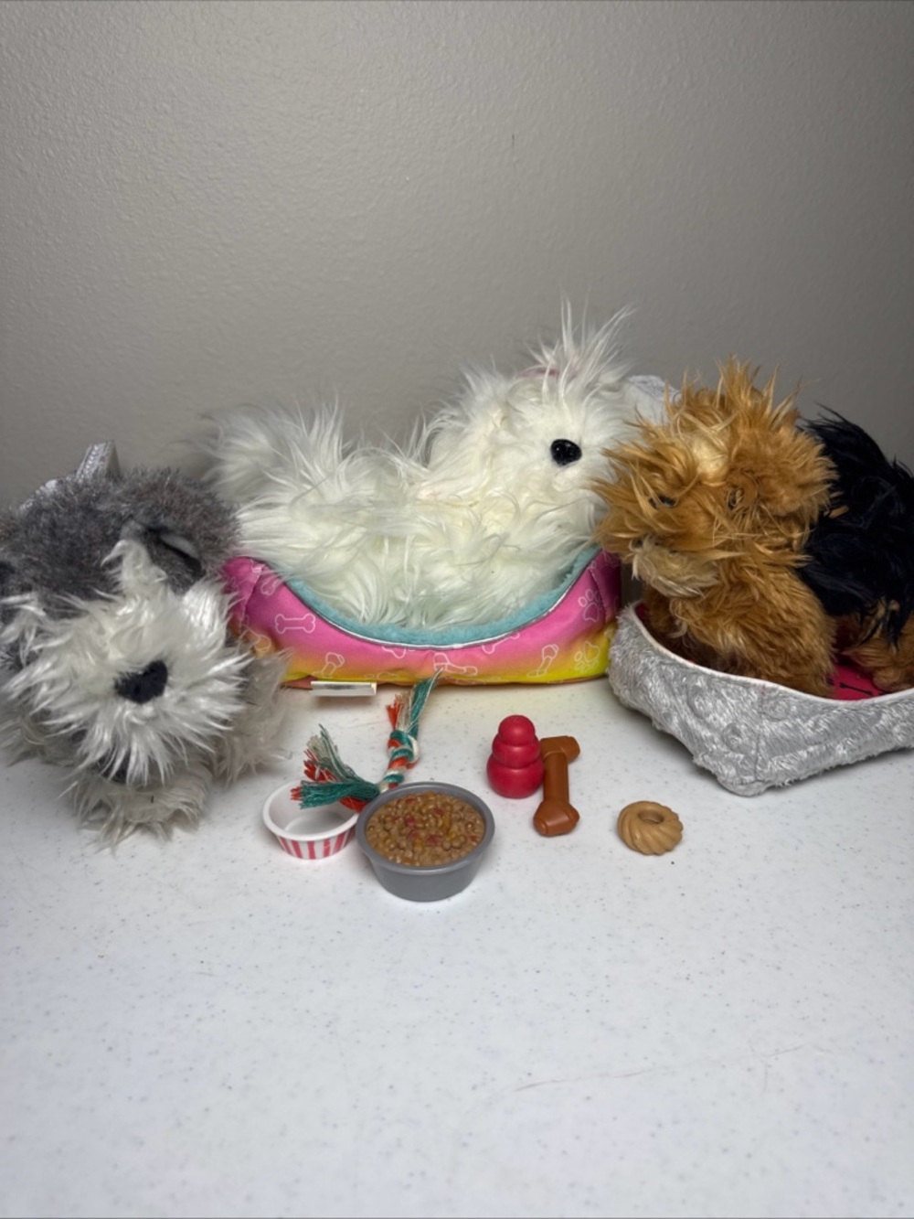 Our generation pet dog lot